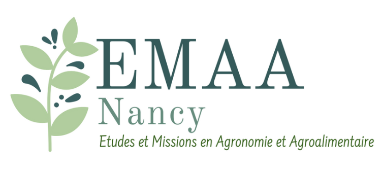 Structure de EMAA Nancy